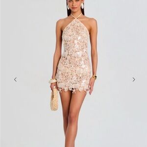 Retrofete Hayden Dress NWT